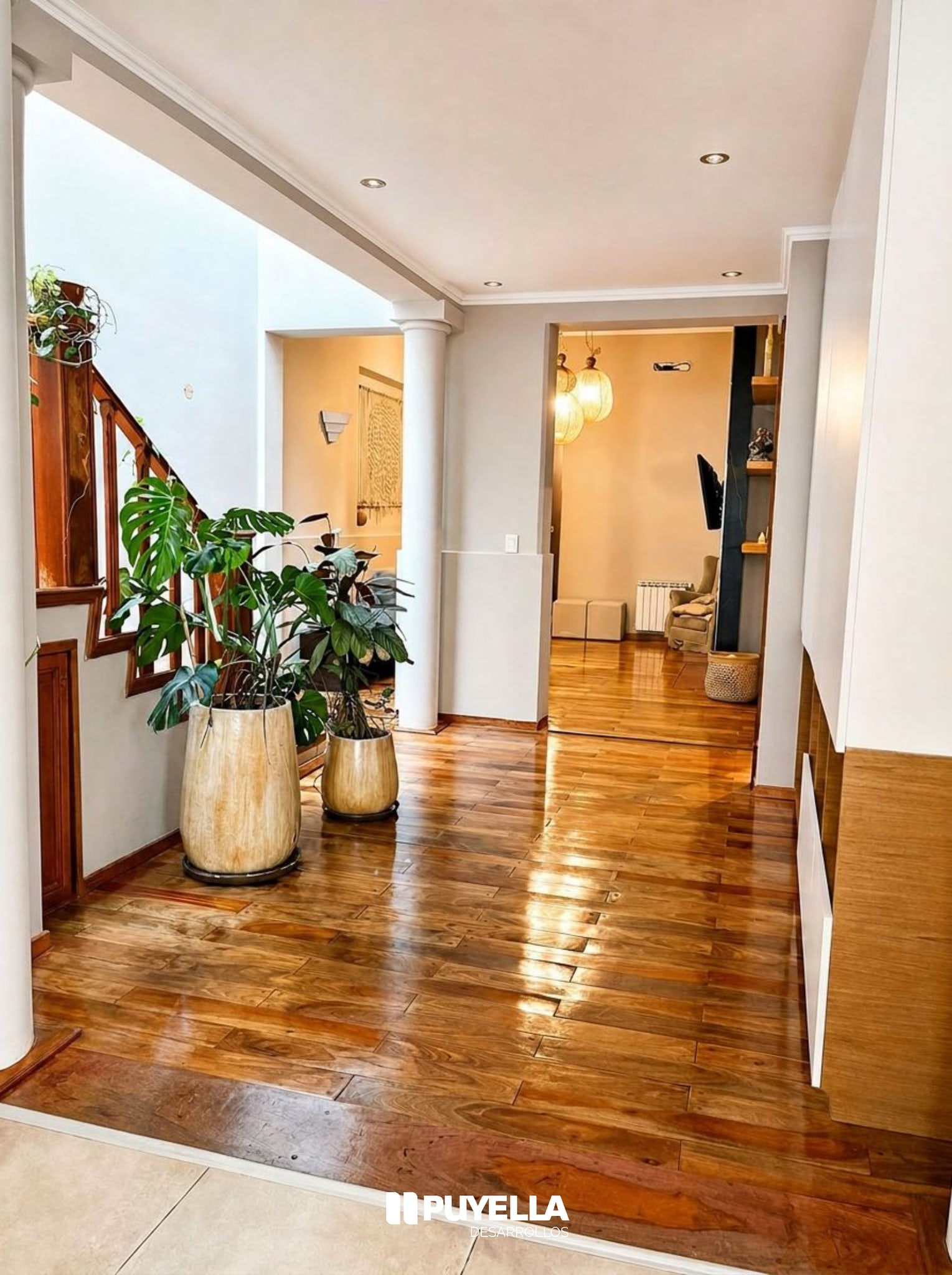 Pellegrini N° 386 — foto 4