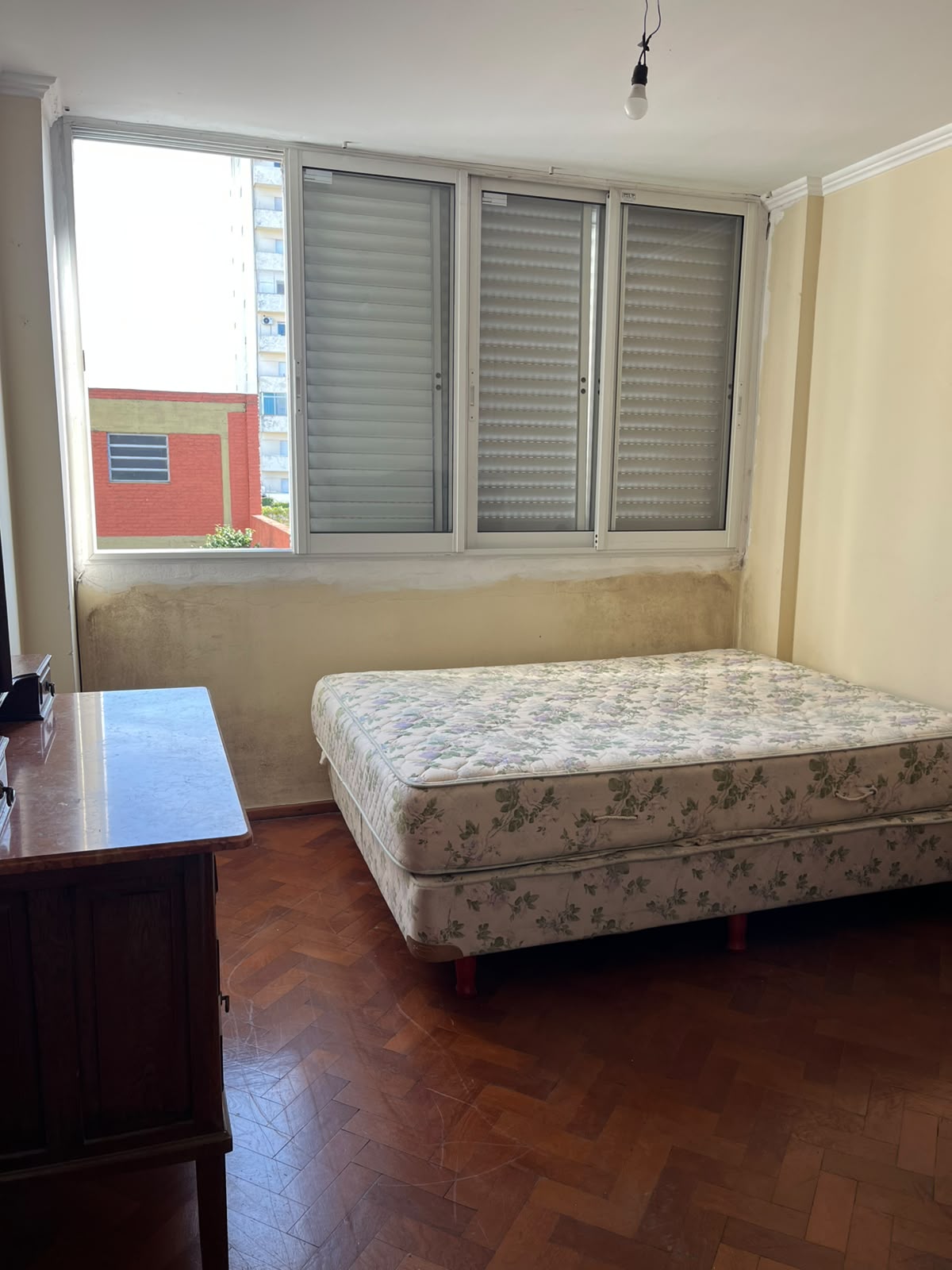 PELLEGRINI 231 PISO 1 CONTRAFRENTE — foto 6
