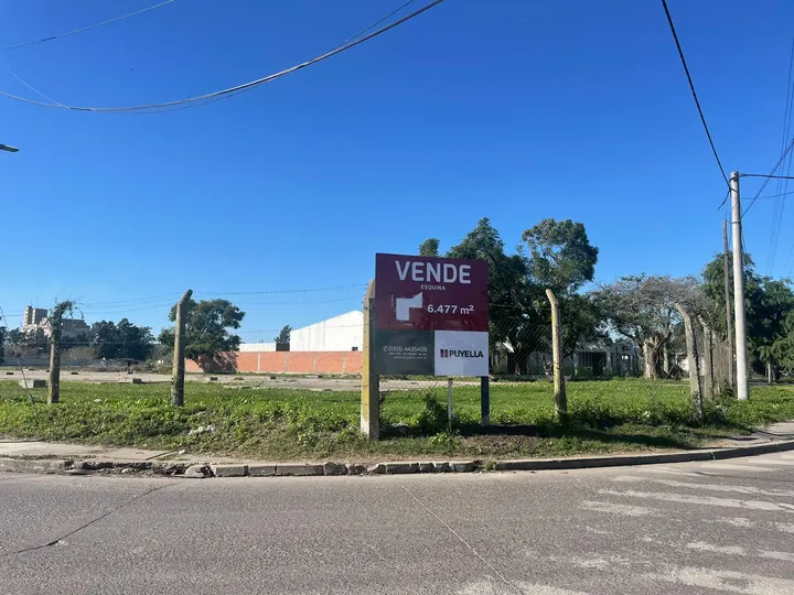 SAVIO Y CORONEL BOGADO - TERRENO — foto 5