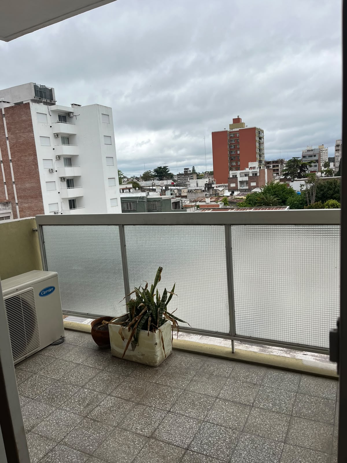 Almafuerte N° 233 — foto 6
